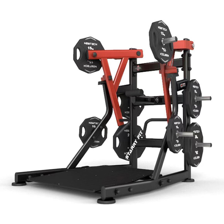 Torture Low Row (nové)<br />NT-T-LR2